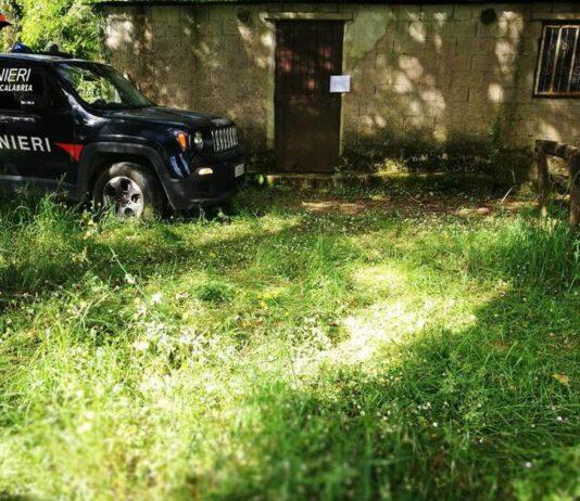 Carabinieri Taurianova, controllo del territorio- arresti a Polistena ed Anoia