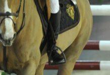Ragazza 20enne cade da cavallo, grave