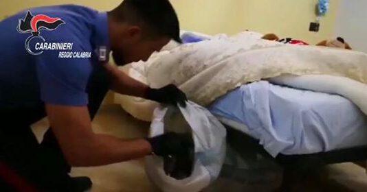 Operazione Nikita, 6 arresti- nomi