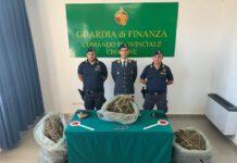 Sorpresi con 13 kg marijuana, due arresti