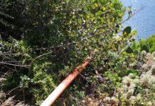 Palmi, condotta hotel scaricava acque fognarie a mare