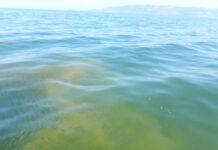 San Ferdinando, Sindaco annuncia sbarramento Mesima