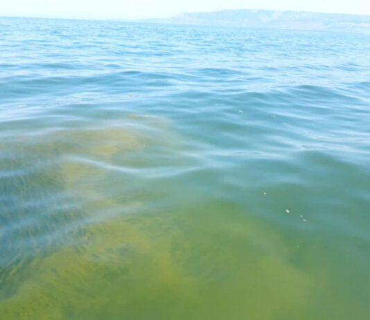 San Ferdinando, Sindaco annuncia sbarramento Mesima