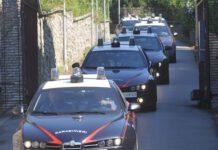 Taurianova. I Carabinieri arrestano 4 persone per coltivazione di canapa indiana. I nomi degli arrestati