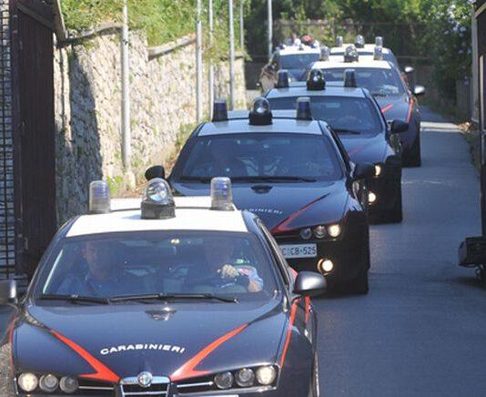 Taurianova. I Carabinieri arrestano 4 persone per coltivazione di canapa indiana. I nomi degli arrestati