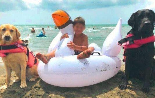 Bimbo rischia di annegare- salvato da Wendy e Kobe, cani bagnino