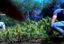 Operazione “SANTAVENERE” Ordinanza di custodia cautelare nei confronti di 12 indagati