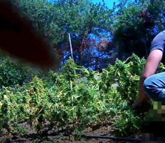 Operazione “SANTAVENERE” Ordinanza di custodia cautelare nei confronti di 12 indagati