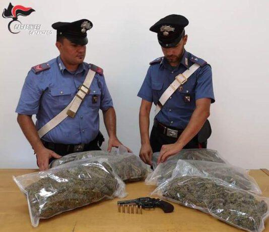 Scoperta piantagione cannabis, un arresto
