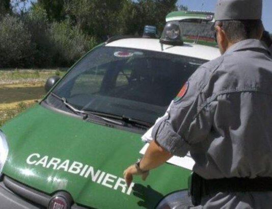 Area del comune trasformata in discarica rifiuti. Denunciati sindaco ed amministratore ditta