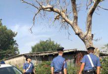 Intimidazione a pastore, testa mozzata di pecora