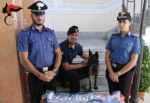 Controlli Carabinieri Palmi, arrestato un 54enne e sequestrato 1kg di droga