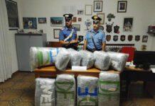 Viaggiava con 55kg di marijuana sul furgone, arrestato 47enne