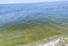 Palmi, incontro tra associazioni ambientaliste su tutela ambiente e inquinamento marino