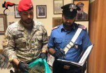 Controllo carabinieri Melicucco e Maropati, due arresti
