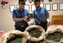 San Luca, sorpresi con 9 kg di marijuana, tre arresti