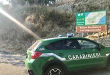 Sorpreso ad appiccare fuoco all’interno del parco nazionale d’Aspromonte. Arrestato dai carabinieri forestali.