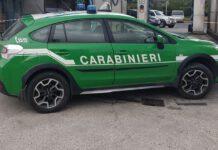 Acque reflue di autolavaggi scaricate in rete fognaria comunale. Sequestrati 8 impianti e denunciati gestori