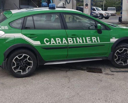 Acque reflue di autolavaggi scaricate in rete fognaria comunale. Sequestrati 8 impianti e denunciati gestori