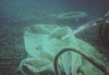 Al via pulizia fondali Isola di Dino