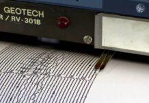 Forte scossa di terremoto in Calabria. Scuole evacuate