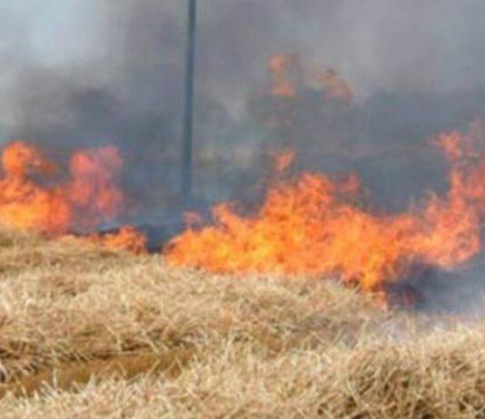 Appicca fuoco a sterpaglie e rimane gravemente ustionato