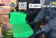 Sequestro record al porto di Gioia Tauro, quasi 1200 kg di cocaina nascosta tra banane