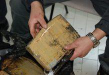 Sequestro 61 kg cocaina porto Gioia Tauro