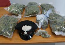 In auto con 10 kg di marijuana, arrestato 46enne di Rosarno