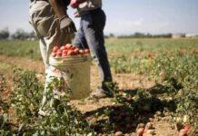 Carabinieri: lotta al caporalato, importanti risultati nel 2019