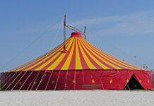 Gioia Tauro, arrestato circense per maltrattamenti in famiglia