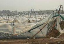 Tromba d’aria a Cariati: distrutti 6 ettari di serre