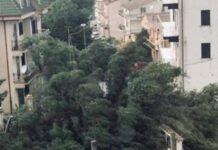 Maltempo in Calabria, danni e disagi a causa del vento