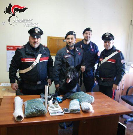 Nascondeva più di un kg e mezzo di marijuna, arrestato 29enne