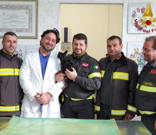 Appartamento in fiamme, vigili salvano e rianimano cagnolino