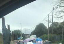 Rosarno segnalazione spazzatura. Abitanti Via Medma: “Rifiuti mai ritirati, il degrado tra cadaveri di animali e immondizia”