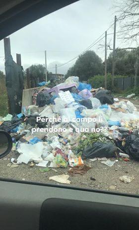 Rosarno segnalazione spazzatura. Abitanti Via Medma: “Rifiuti mai ritirati, il degrado tra cadaveri di animali e immondizia”