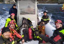 Cani scivolano in dirupo a Seminara, salvati da vigili del fuoco