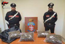 Sorpreso in auto con oltre 2kg di marijuana