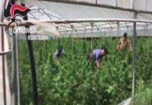 Operazione antidroga Piana di Gioia Tauro- 15 arresti nomi e dettagli