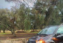 Incidente tra Rosarno e Gioia Tauro, feriti