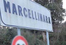 Calabria- lupo trovato appeso a cartello stradale