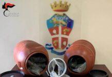 Rinvenuti e sequestrati 14 kg di marijuana