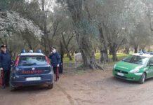 Carabinieri Gioia Tauro- intensificati controlli, un arresto e diverse denunce