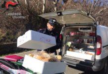 Sequestrati formaggi privi tracciabilità- sanzione per 1500 euro