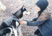 Afghanistan, sparano al suo cane- le donne non possono avere animali