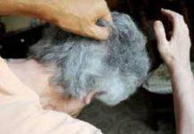 Anziani maltrattati, schiaffi, derisioni e atteggiamenti molesti- chiuse indagini