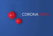 Coronavirus: paura giustificata o psicosi?