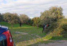 Fratelli calabresi scomparsi, ancora ricerche senza sosta