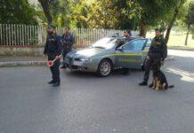 Deteneva armi, esplosivo e droga, arrestato 37enne